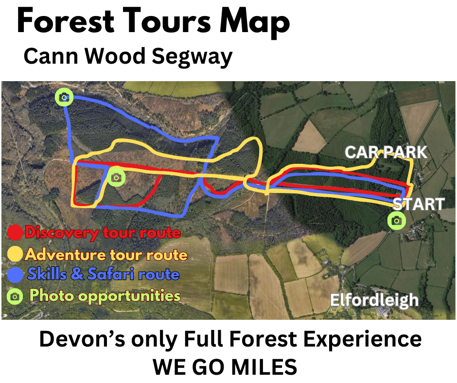 Segway Tours Cann Wood